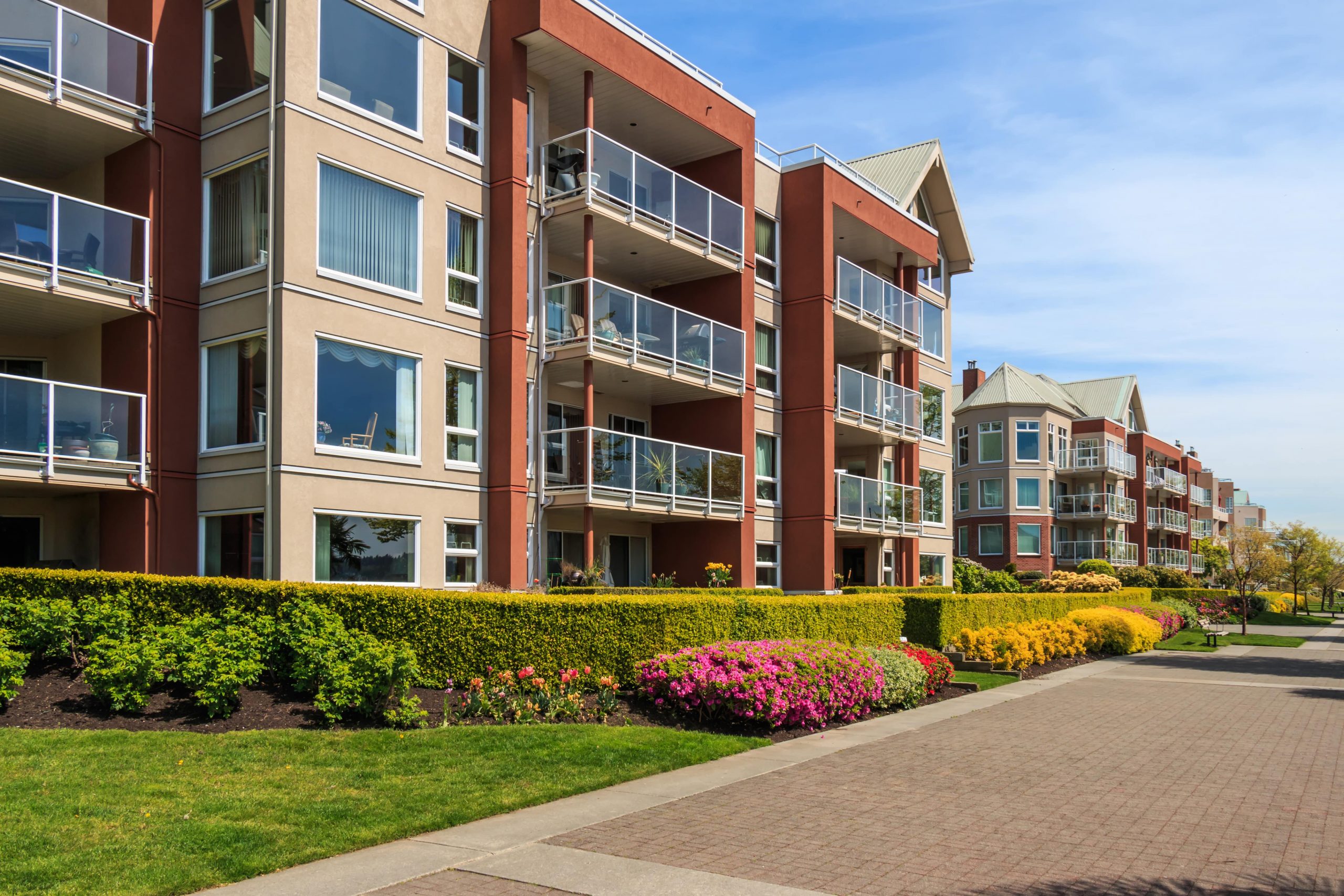 A row of apartment buildings with flowers in the foreground.