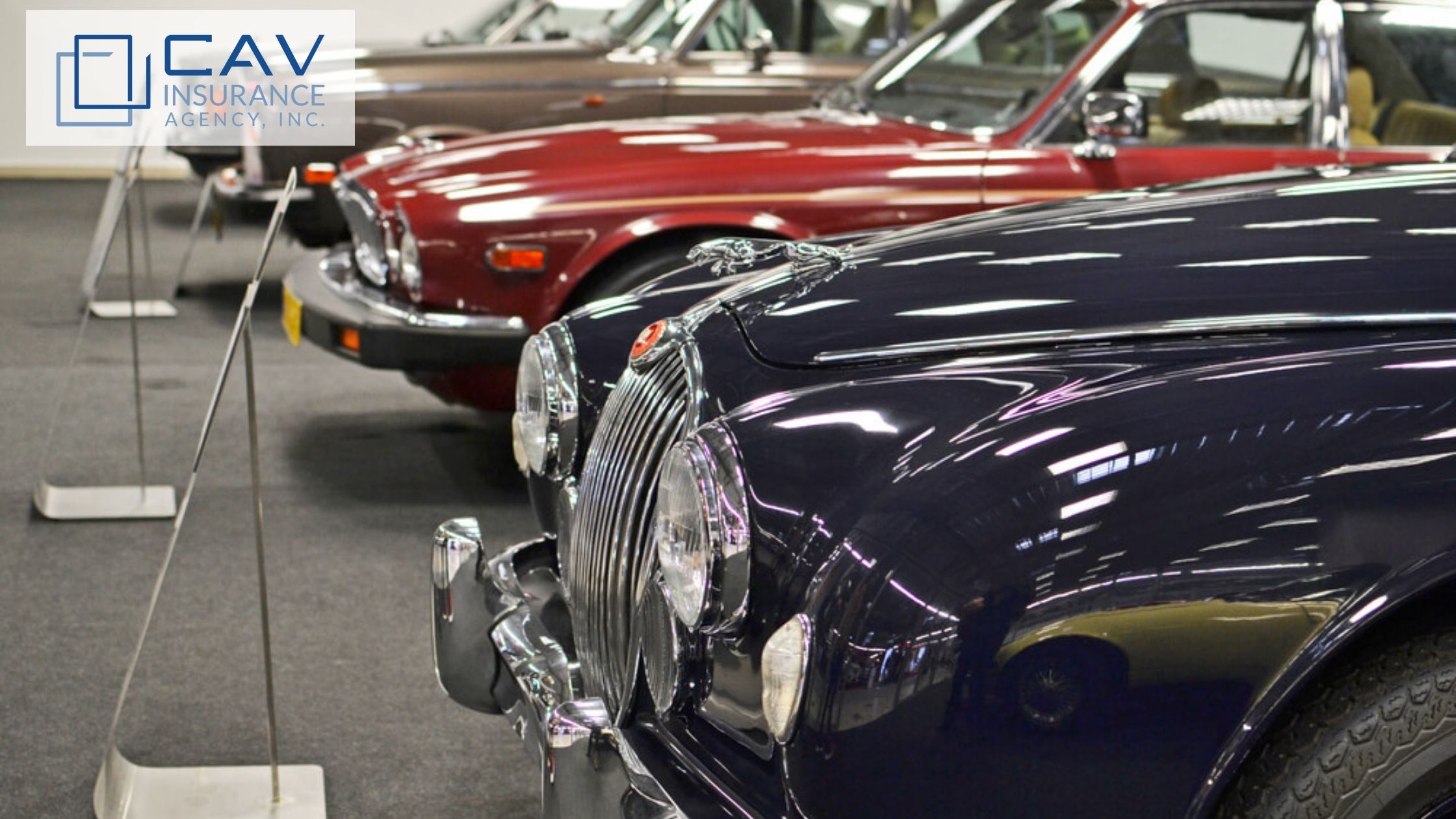 A row of cars parked in a showroom.